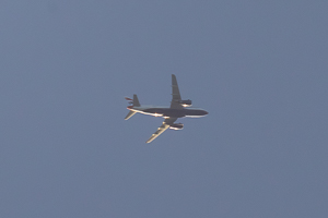 G-LCYT